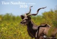 Vorschau
namibia_tiere_2020.jpg