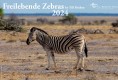 Vorschau
TBFOTO_WK_zebras_2024.jpg